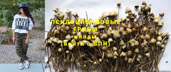 меф Богородицк