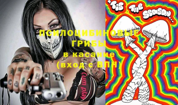 ГАЛЛЮЦИНОГЕННЫЕ ГРИБЫ Бугульма